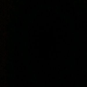 Meet your Posher, Brandi